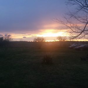 Meet your Posher, Tracey elaine